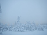 getImage (5)